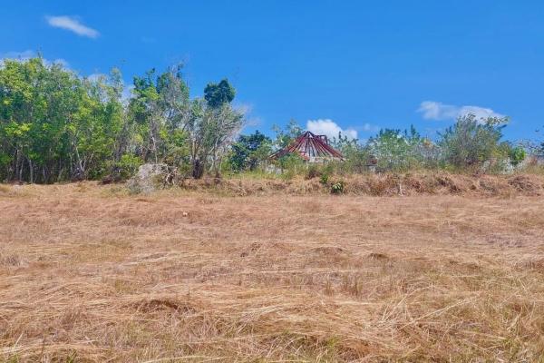 Project in lajas with permit for a development