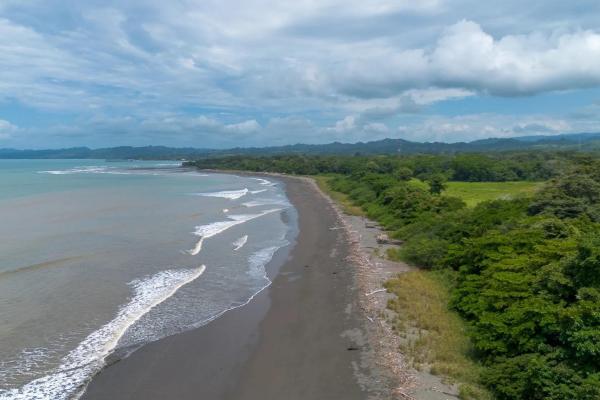 +9 hectares of flat beachfront land for sale