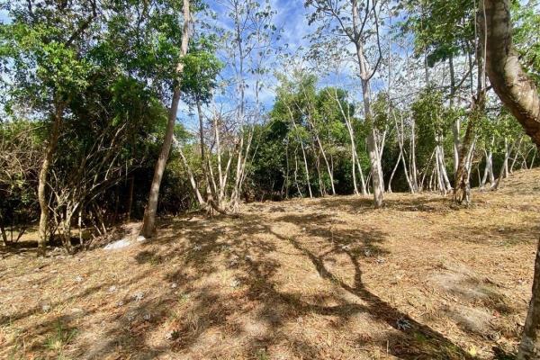 Finca de 4.3 hectareas – proyecto ideal comunidad