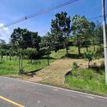 Chame/bejuco land for sale