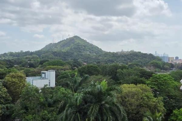 Apartamento con vistas espectaculares al puente de las américas