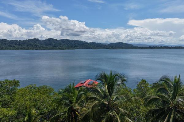 Retiro de finca de cacao de 14 hectáreas en tierra oscura