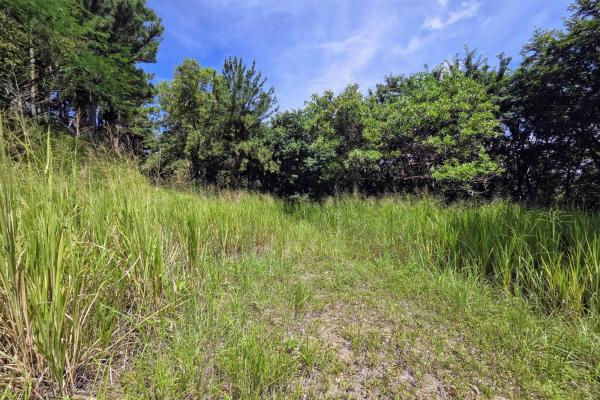 Land for sale in sorá chame
