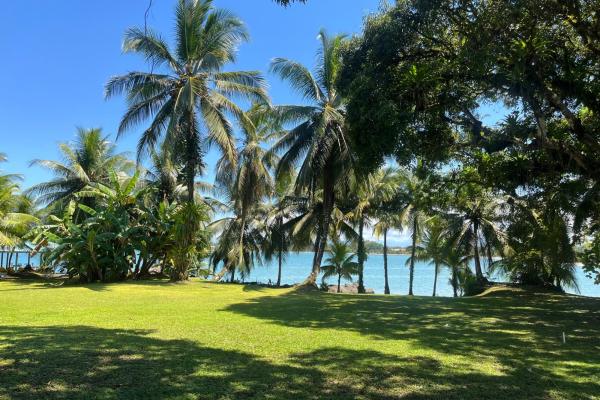 Prime oceanfront estate w/dock & beach, isla colon