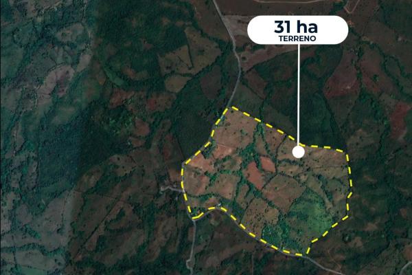 Venta de finca agricola ideal para ganadería y otros cultivos en ocú