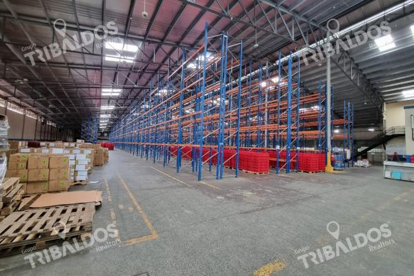 Bodega en la locería, vía ricardo j. alfaro