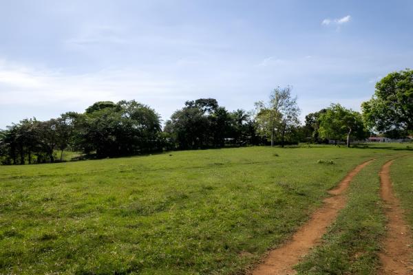 Four hectare property for urbanization in david