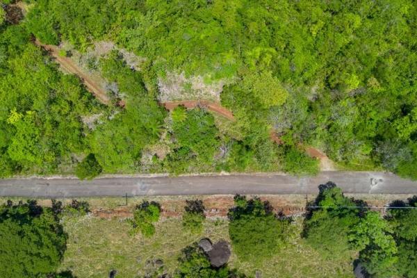 Spacious 59,086 m² land in síndigo, caldera