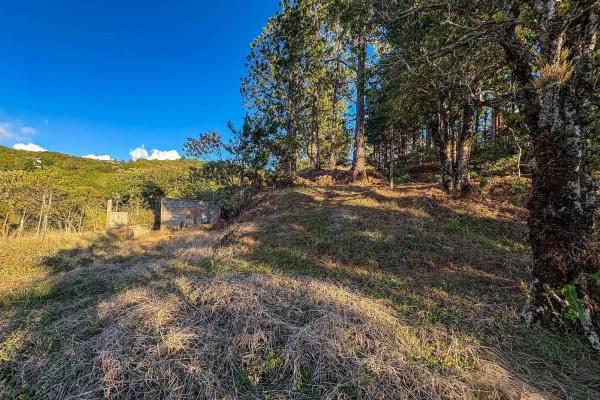 Mountain view lot for sale in jaramillo, boquete