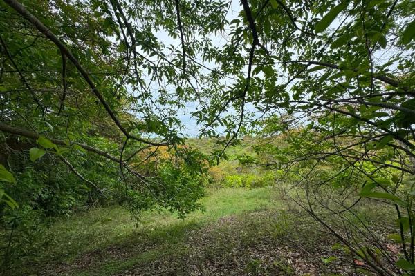 Venta de terreno de 9.9 hectáreas cerca de playas en el higo, san carlos