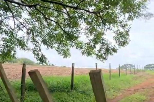 Monte viejo terreno en venta