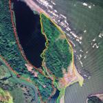 Vendo en changuinola 38.8hcs frente al mar con playa