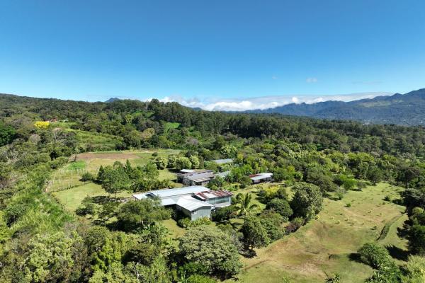 Finca campestre con múltiples edificaciones en palmira