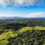 Se vende finca ganadera de 55 hectáreas en colón