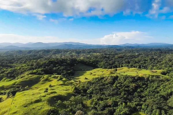 Se vende finca ganadera de 55 hectáreas en colón