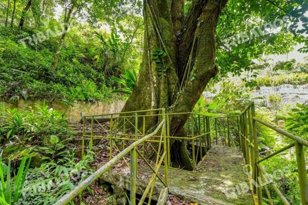 Venta de 1.8 hectáreas con ríos y senderos vía al valle de antón