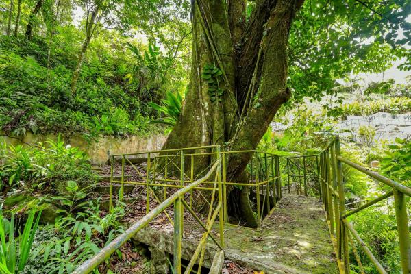 Venta de residencia tipo hacienda con ríos y senderos vía al valle de antón