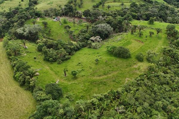 Se vende terreno para desarrollo residencial en el trapichito, la chorrera