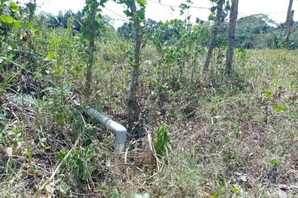 Land 172 acres in puerto armuelles, limones io