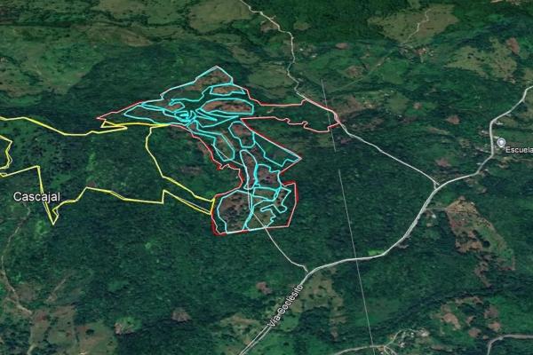 Coffee farm for sale in el cascajal, la pintada