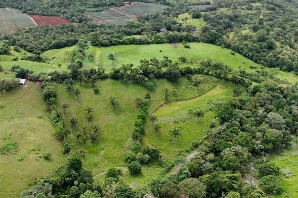 Land for sale in el trapichito, la chorrera