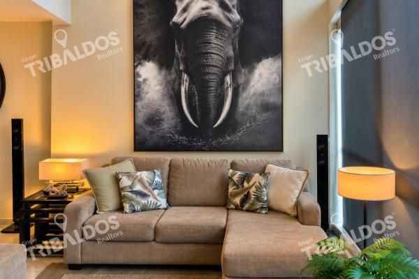 Apartment for rent in ph vitro loft, bella vista, furnished