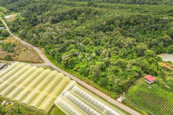 Land with natural forest and mountain views
