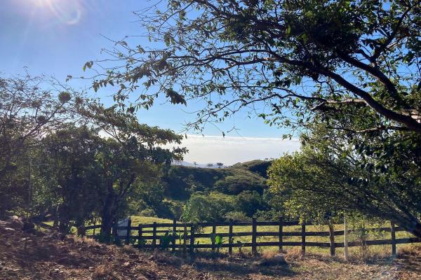 Cattle farm or private retreat