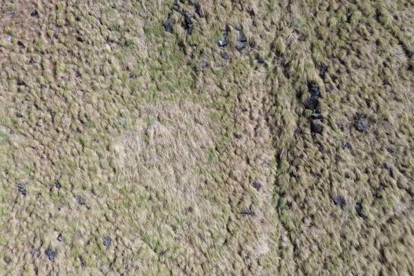 Serene flat land for sale with mountain views