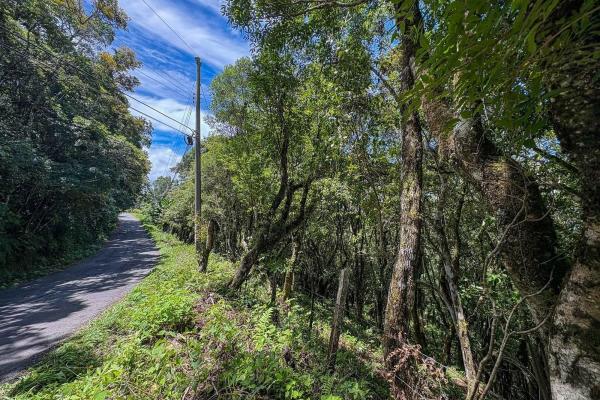 7,843 m² lot for sale in volcancito arriba