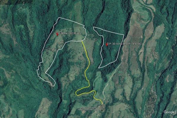 For sale – 96.10 -hectare agricultural farm in boquerón, las monjas