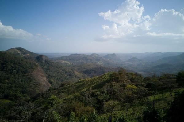 Finca de 68 hectareas en chicá, panama oeste