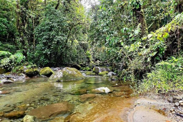 For sale – 96.10 -hectare agricultural farm in boquerón, las monjas