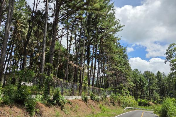 Venta de terreno en sora bejuco