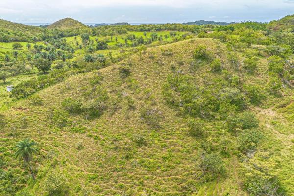 6-hectare hill property for sale in boca chica