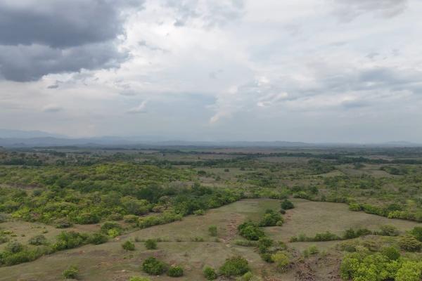 Investor opportunity: high-growth area in veraguas