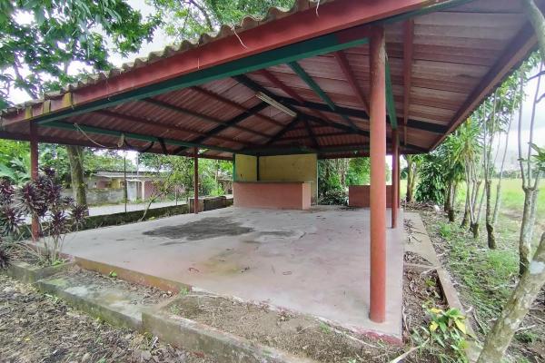Warehouse with 1 hectare, coquito, david