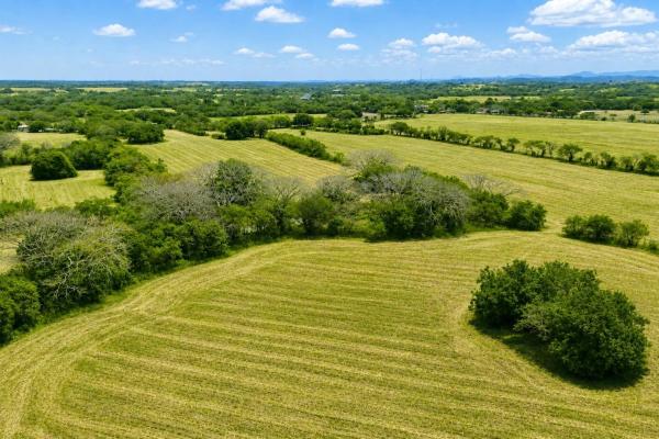 9-hectare farm lot for sale in los santos