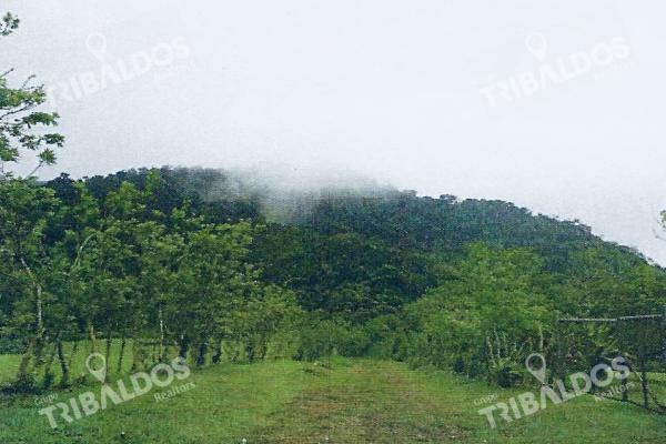 Venta de terreno en la mesa de el valle de anton