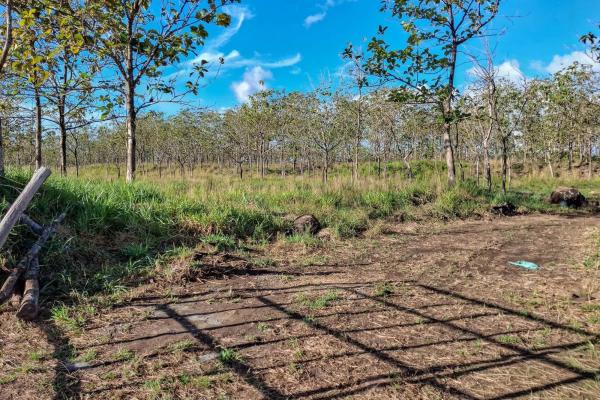 22,2 hectáreas en venta en el francés