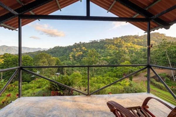 Coffee farm for sale in el cascajal, la pintada