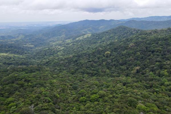 Land for sale in cerro azul