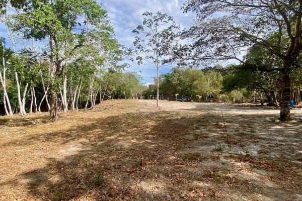 4.3 hectares finca – ideal community project
