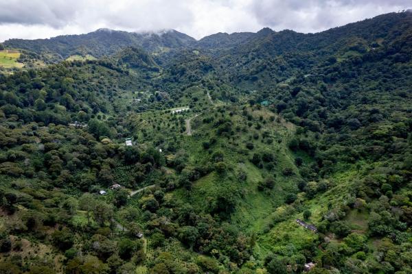12 plus - ha producing coffee farm in boquete