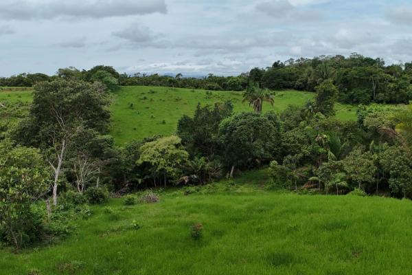 Terreno ideal para desarrollo residencial en el trapichito, la chorrera