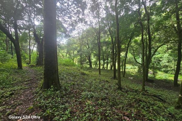 Terreno de 6,9 ha junto a boquete country club — venta de globo entero
