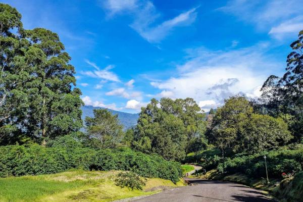 Premium home building lot in las terrazas –boquete