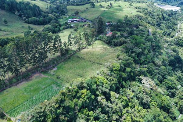 Land for sale – boquerón, cordillera arriba