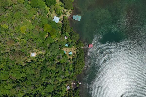 Retiro de finca de cacao de 14 hectáreas en tierra oscura
