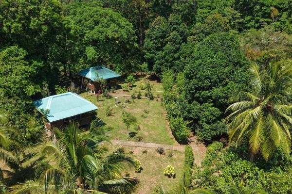 Retiro de finca de cacao de 14 hectáreas en tierra oscura